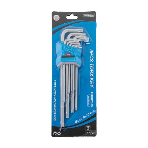 Set torx ključev